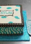 Plate Match Cake