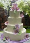 Lavendar Calla Lilies